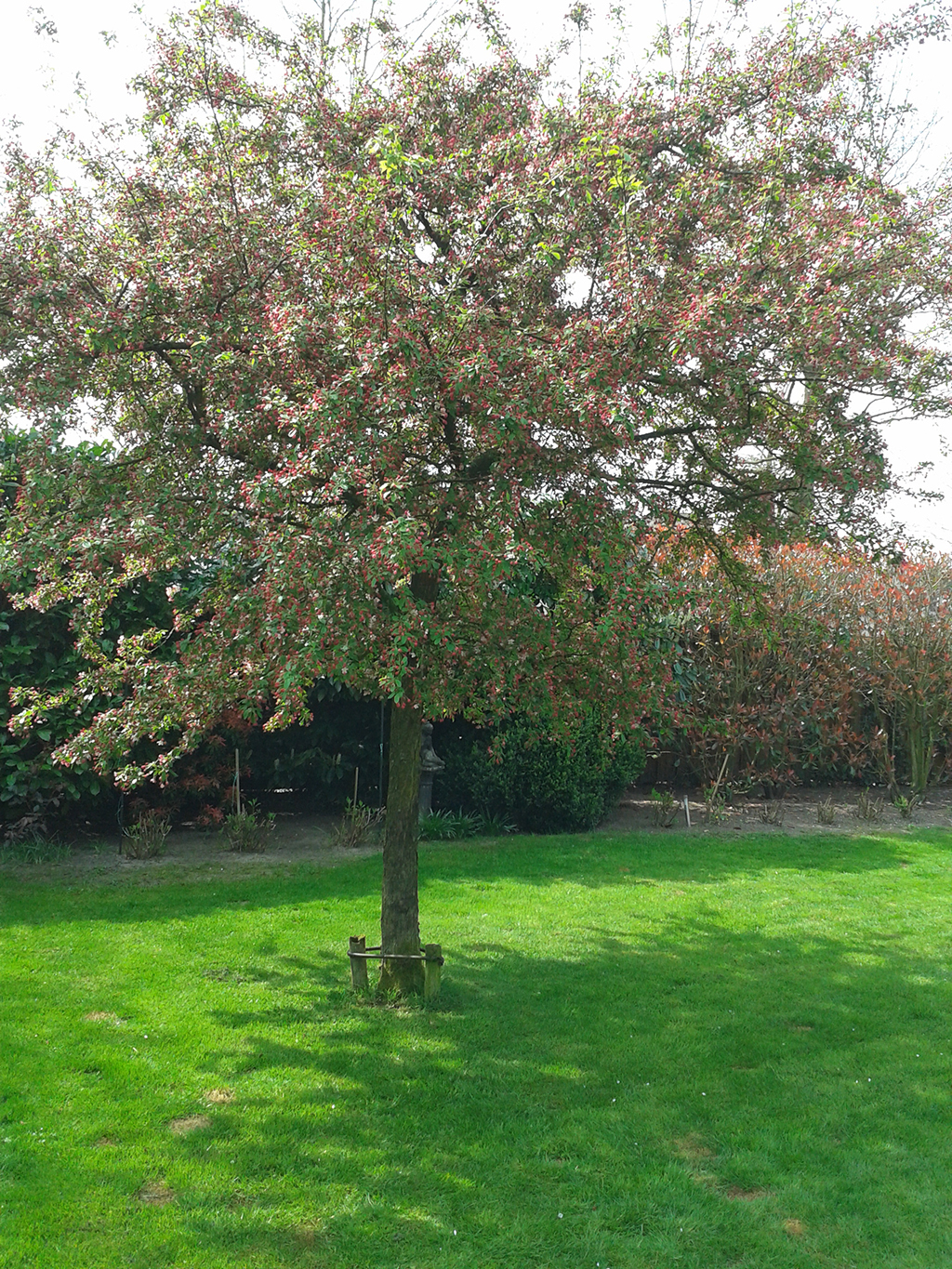 Blog: Tuin - Persoonlijk afscheid