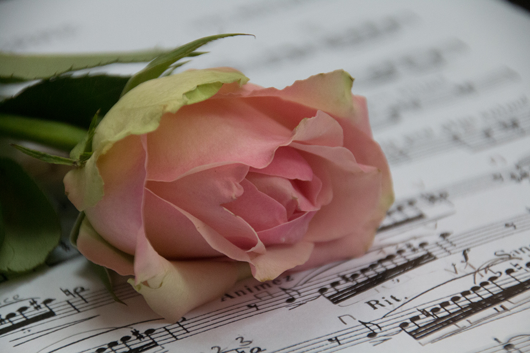 Blog: Talent - Persoonlijk afscheid