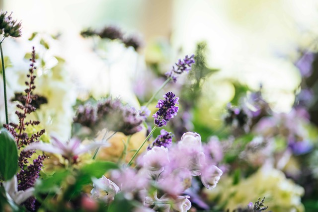 Blog: Lavendel - Persoonlijk afscheid