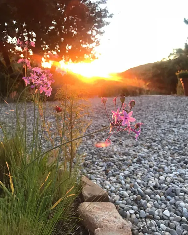 Blog: Geluk in kleine dingen - Persoonlijk afscheid