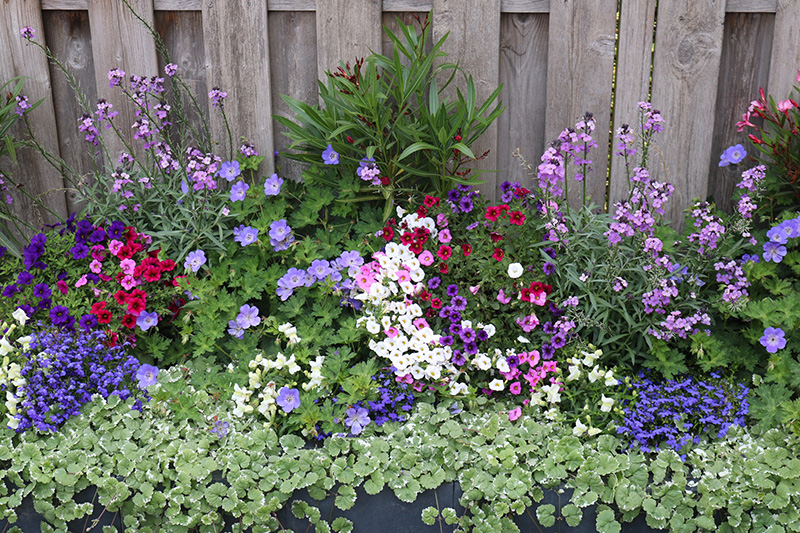 Blog: Een Voorbeeld - Persoonlijk afscheid