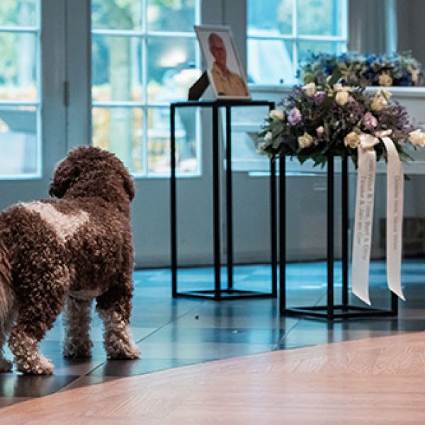 blog-dierenenrouw blog-dierenenrouw