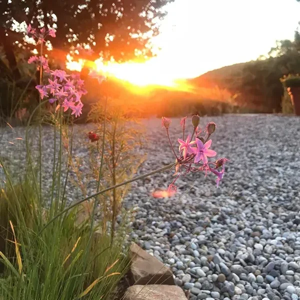 Blog: Geluk in kleine dingen - Persoonlijk afscheid