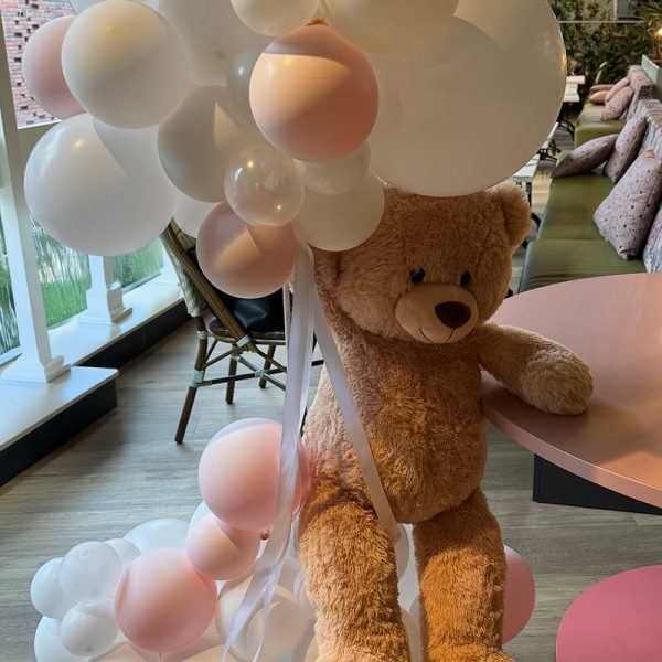 Blog: Kleine strijder – Persoonlijk afscheid Blog: Kleine strijder - Persoonlijk afscheid