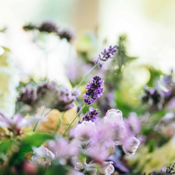 Blog: Lavendel - Persoonlijk afscheid