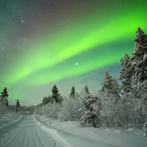 Blog: De laatste reis - Persoonlijk afscheid